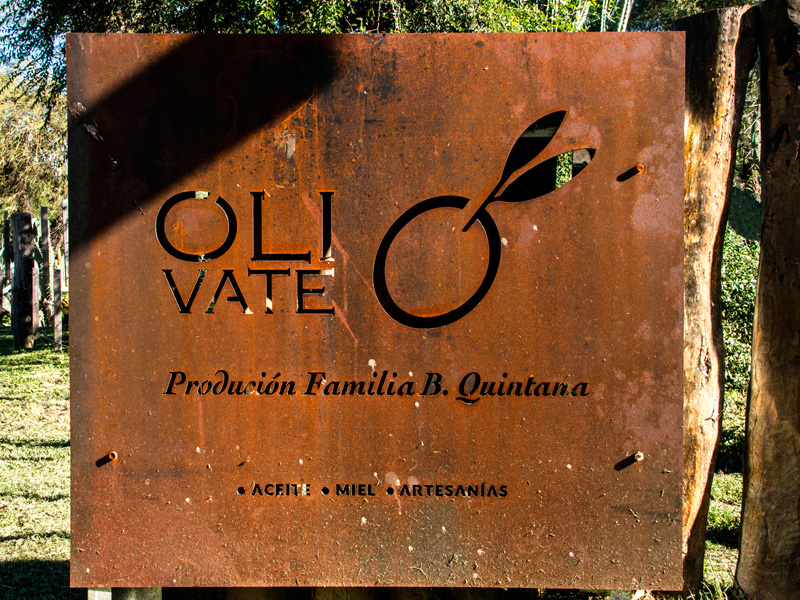 Planta produccion Oliva