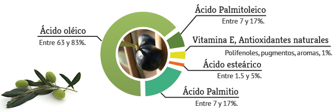 grafico oliva